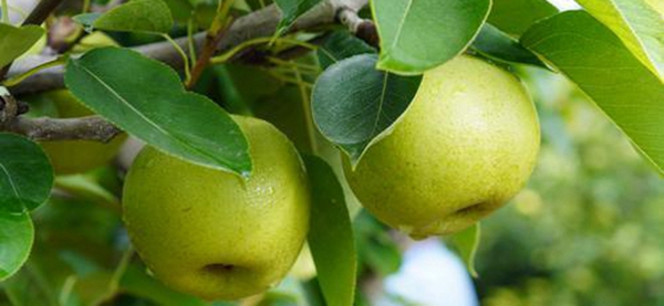 binary_middle (2).jpg